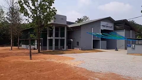 ഫ്രഷ് കട്ട്