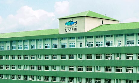 സിഎംഎഫ്ആർഐ