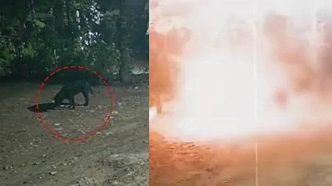 സിസിടിവി ദൃശ്യങ്ങൾ