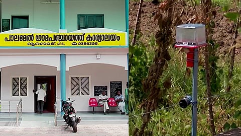 തദ്ദേശ തിളക്കം | കൃഷി ഇടങ്ങളിൽ സോളാർ വേലികൾ! പാലമേലിൽ കാട്ടുപന്നി ശല്യത്തിന് പരിഹാരം; പഞ്ചായത്ത് ഫെൻസിങ് പൂർത്തിയാക്കിയത് 45ഏക്കറിൽ 