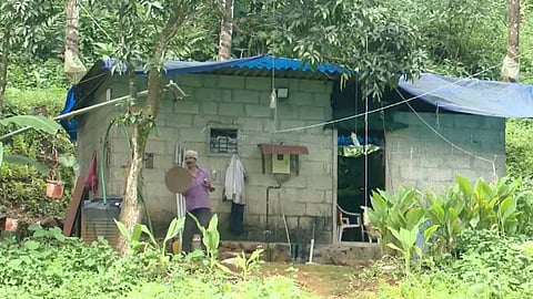 വന്യമൃഗശല്യം സഹിക്കാനാവാതെ നാടും വീടും വിട്ടുപോയവർ നിരവധി; പരിഹാരം ആവശ്യപ്പെട്ട് സീതത്തോടുകാർ..