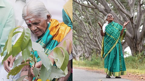 ‘വൃക്ഷ മാതാവ്’; പ്രശസ്ത പരിസ്ഥിതി പ്രവർത്തക സാലുമരദ തിമ്മക്ക അന്തരിച്ചു 