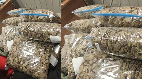 10 കോടി രൂപയുടെ ഹൈബ്രിഡ് കഞ്ചാവ്; ചെന്നൈ എയര്‍പോര്‍ട്ടില്‍ രണ്ട് സ്ത്രീകള്‍ പിടിയില്‍ 