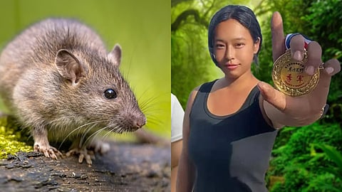 Chinese woman eats rat 