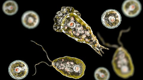 പ്രതീകാത്മക ചിത്രം