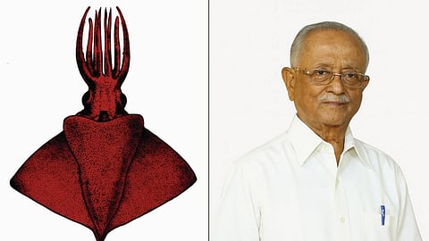 സിഎംഎഫ്ആർഐ ഗവേഷകർ കണ്ടെത്തിയ പുതിയ ഇനം നീരാളി കൂന്തൽ ടനിൻജിയ സൈലാസി, ഡോ. ഇ.ജി. സൈലാസ്