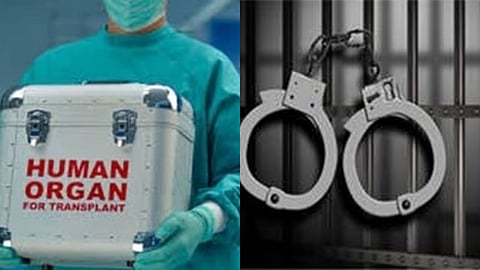 അവയവക്കടത്ത് കേസ്