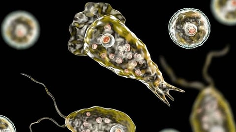 സംസ്ഥാനത്ത് വീണ്ടും അമീബിക് മസ്തിഷ്‌ക ജ്വരം ബാധിച്ച് മരണം; മരിച്ചത് പയ്യോളി സ്വദേശി സരസു