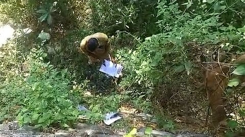 പട്ടികവർഗ വിദ്യാർഥികളുടെ അപേക്ഷകൾ കുറ്റിക്കാട്ടിൽ; തള്ളിയത് ധനസഹായത്തിനായി ട്രൈബൽ ഓഫീസിൽ നൽകിയ ഫോമുകൾ