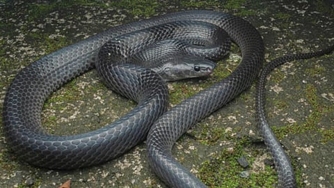 പ്രതീകാത്മക ചിത്രം 