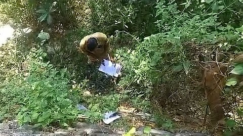 കുറ്റിക്കാട്ടിൽ ഉപേക്ഷിക്കപ്പെട്ട നിലയിൽ കണ്ടെത്തിയ 
വിദ്യാർഥികളുടെ അപേക്ഷകളിൽ 
ധനസഹായം അനുവദിച്ചു