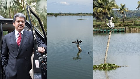ആനന്ദ് മഹീന്ദ്രയുടെ കടമക്കുടി യാത്ര