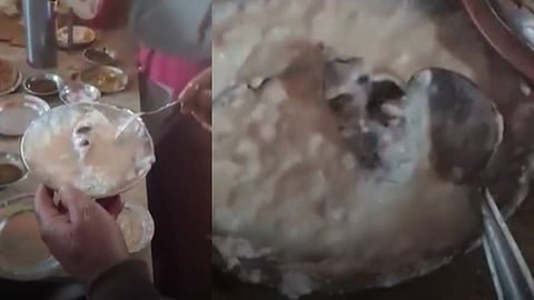 കഴിക്കാന്‍ നല്‍കിയ തൈരില്‍ ചത്ത എലി; റസ്റ്ററന്റിലെ വീഡിയോ സോഷ്യല്‍മീഡിയയില്‍ വൈറല്‍ 