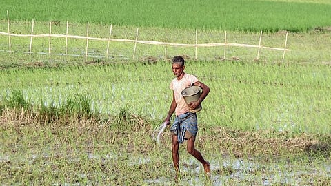 പ്രതീകാത്മക ചിത്രം
