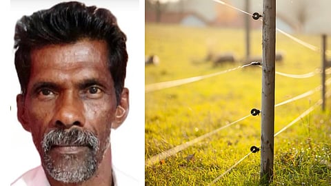 മരിച്ച വിൽസൺ