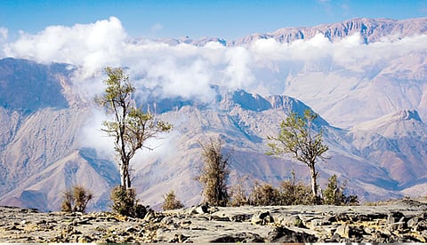 തണുത്ത് വിറച്ച് ഒമാന്‍, സായിഖില്‍ രേഖപ്പെടുത്തിയത് മൈനസ് ഡിഗ്രി