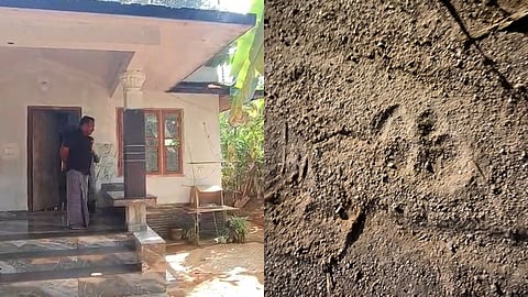 പേരാമ്പ്രയിൽ അജ്ഞാതജീവിയെ കണ്ടതായി നാട്ടുകാർ; കാൽപ്പാടുകൾ കണ്ടെത്തി