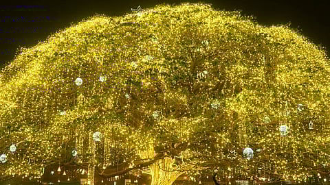 ഫോർട്ട് കൊച്ചിയിലെ ന്യൂ ഇയർ ആഘോഷങ്ങൾക്ക് അമിത നിയന്ത്രണമുണ്ടാവില്ല; കനത്ത സുരക്ഷ ഏർപ്പെടുത്തുമെന്ന് സിറ്റി പൊലീസ് കമ്മീഷണർ