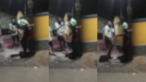 എലപ്പുള്ളിയിൽ യുവാവിനെ  
പോസ്റ്റിൽ കെട്ടിയിട്ട് മർദിച്ചു; രണ്ട് പേർ അറസ്റ്റിൽ