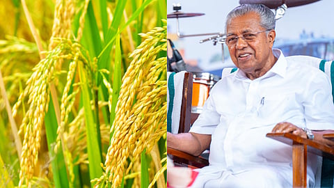 നെല്ല് സംഭരണത്തിന്
ബദൽ; കേരളത്തിൻ്റെ സ്വന്തം കെ-റൈസ് വരുന്നു