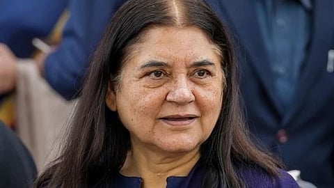 Maneka Gandhi 