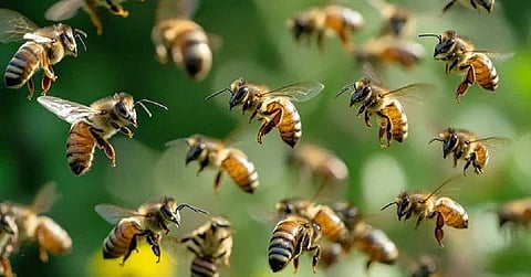 പ്രതീകാത്മക ചിത്രം