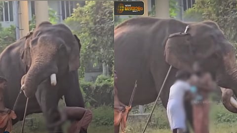 ആനയ്ക്കരികിൽ സ്വന്തം കൈക്കുഞ്ഞുമായി സാഹസം; പാപ്പാൻ അറസ്റ്റിൽ 