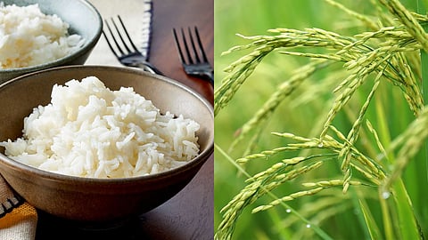 പ്രതീകാത്മക ചിത്രം