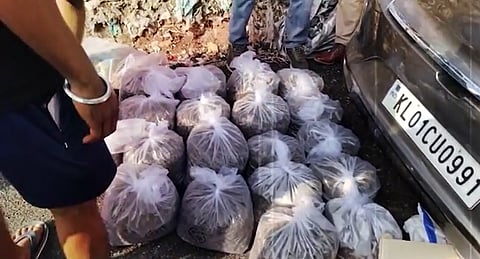 പിടികൂടിയ കഞ്ചാവ്