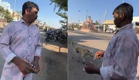 രണ്ടാഴ്ചയ്ക്കിടെ വിഷം കൊടുത്ത് കൊന്നത് 500 ഓളം തെരുവുനായ്ക്കളെ; അന്വേഷണം ഊര്‍ജിതമാക്കി തെലങ്കാന പൊലീസ്