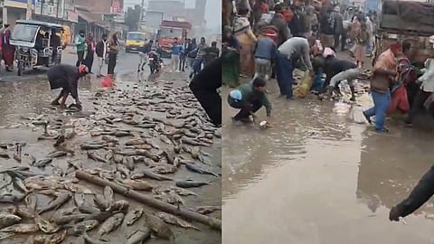 അപകടത്തിൽ പെട്ട 13കാരൻ്റെ മൃതദേഹം റോഡരികിൽ, മീൻ പെറുക്കാനായി ഓടിക്കൂടി ആളുകൾ; ലജ്ജിപ്പിക്കുന്ന സംഭവം ബിഹാറിൽ 