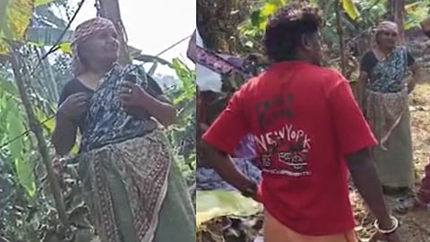 "സിപിഐഎമ്മിൻ്റെ സമരത്തിൽ പങ്കെടുത്തില്ല"; കണ്ണൂരിൽ തൊഴിലുറപ്പ് തൊഴിലാളിക്ക് 
ജോലി നിഷേധിച്ചതായി പരാതി