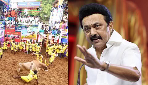 ജെല്ലിക്കെട്ട് വിജയിക്ക് സര്‍ക്കാര്‍ ജോലി; പ്രഖ്യാപനവുമായി എം.കെ. സ്റ്റാലിന്‍ 