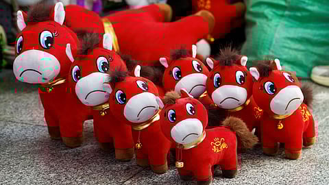 ഉൽപ്പാദന പിഴവ് ട്രെൻഡിങ്ങായി; 'ചിരിക്കാത്ത കുതിര', പാവകൾക്കിടയിലെ പുതിയ സെലിബ്രിറ്റി