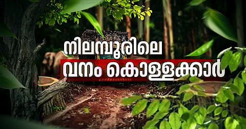 നിലമ്പൂരിൽ വൻ വനം കൊള്ള; വ്യാജരേഖകൾ ചമച്ച് തട്ടിയെടുത്തത് 200 ഏക്കർ വനഭൂമി; രേഖകൾ ന്യൂസ് മലയാളത്തിന്