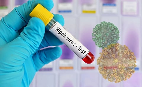 പ്രതീകാത്മക-ചിത്രം