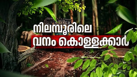 IMPACT | നിലമ്പൂരിൽ വനംകൊള്ള നടന്നതായി സ്ഥിരീകരിച്ച് വനം വകുപ്പ്; ഭൂമി തിരിച്ചു പിടിക്കാൻ ഡിഎഫ്ഒയുടെ ശുപാർശ; അന്വേഷണത്തിനായി പ്രത്യേക  സംഘം