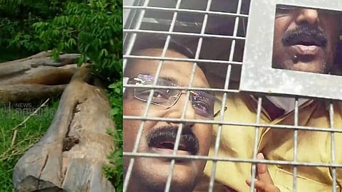 'തടികൾ സർക്കാരിൻ്റേതല്ലെന്ന് തെളിയിക്കാൻ ഒരു കീറക്കടലാസ് പോലും ഹാജരാക്കാൻ കഴിഞ്ഞില്ല'; മുട്ടിൽ മരംമുറിക്കേസിലെ ഉത്തരവ് പുറത്ത്
