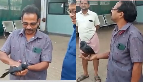 ഷോക്കേറ്റു വീണു കാക്കയ്ക്ക് രക്ഷകനായി റിട്ട. കെഎസ്ആര്‍ടിസി ഡ്രൈവര്‍; സിപിആര്‍ നല്‍കി പുതു ജീവിതത്തിലേക്ക് | വീഡിയോ