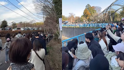 പഞ്ചിനെ കാണാൻ തിങ്ങിനിറഞ്ഞ് ആളുകൾ; വൈറലായി ഇച്ചിക്കാവ മൃഗശാലയിൽ നിന്നുള്ള വീഡിയോ