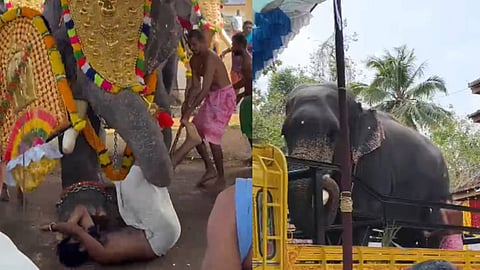 ശീവേലിയ്ക്ക് കോലം കെട്ടുന്നതിനിടെ യുവാവിനെ തുമ്പിക്കൈ കൊണ്ട് എടുത്തെറിഞ്ഞ് ആന; തളച്ചത് ഏറെ നേരത്തെ പരിശ്രമത്തിനൊടുവിൽ