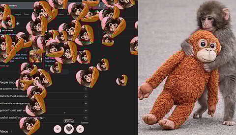 പഞ്ച് ദ മങ്കി: തരംഗമായി ഗൂഗിള്‍ ഡൂഡിലില്‍ ബേബി പഞ്ച്