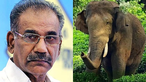 കാട്ടാനക്കലിയിൽ യുവാവിൻ്റെ മരണം: ആറളത്തേത് നരകജീവിതമെന്ന് നാട്ടുകാർ; കുടുംബത്തിന് നഷ്ടപരിഹാര തുക ഉടൻ നൽകുമെന്ന് മന്ത്രി എ.കെ. ശശീന്ദ്രൻ