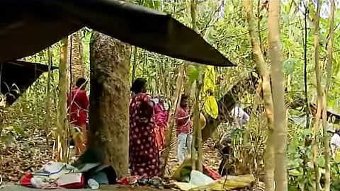 "പട്ടയം ലഭിച്ച ഭൂമി വാസയോഗ്യമല്ല"; കലഞ്ഞൂരിൽ ചെങ്ങറ മോഡൽ സമരം, കുടിൽകെട്ടി സമരത്തിന്റെ ഭാ​ഗമായത്  20 കുടുംബങ്ങൾ 