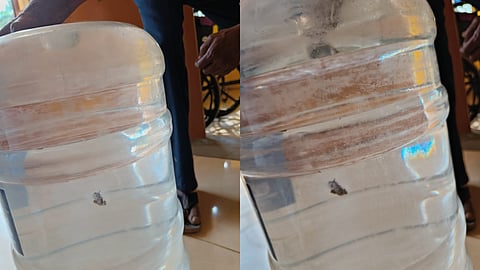 വടകരയിൽ കുടുംബാരോഗ്യ കേന്ദ്രത്തിൽ വിതരണം ചെയ്ത കുടിവെള്ളത്തിൽ ചത്ത തവള; ഏജൻസിക്ക് പൂട്ടിട്ട് ആരോഗ്യവിഭാഗം