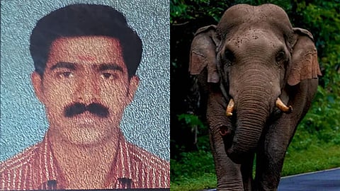 രജീവിൻ്റെ മരണം കാട്ടാന ആക്രമണത്തെ തുടർന്നെന്ന് സ്ഥിരീകരണം