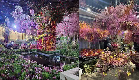 കണ്ണിന് കുളിര്‍മയേകുന്ന വര്‍ണവിസ്മയം; 197-ാം വര്‍ഷത്തിലേക്ക് കടക്കുന്ന ഫിലാഡല്‍ഫിയ ഫ്‌ളവര്‍ ഷോ