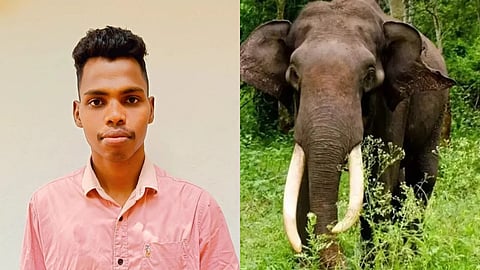 ഫോറസ്റ്റ് വാച്ചർ ഷൈജു