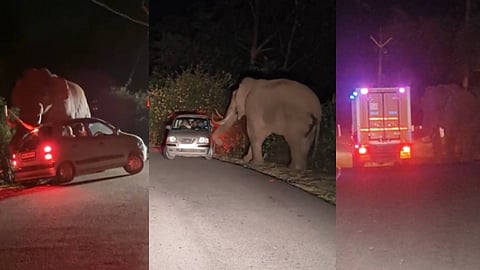 മൂന്നാറിൽ ഭീതി പരത്തി പടയപ്പയുടെ പരാക്രമം, വാഹനങ്ങൾക്ക് നേരെ ആക്രമണം; സഞ്ചാരികൾ രക്ഷപ്പെട്ടത്  തലനാരിഴയ്ക്ക്