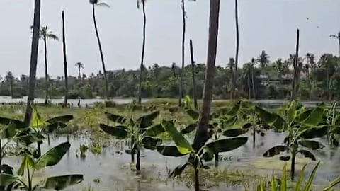"ഭൂമാഫിയകളുടെ സമ്മർദം";  ആളൂരിലെ കർഷകർ പ്രതിസന്ധിയിൽ 